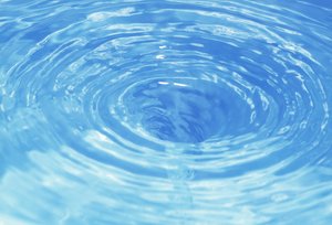 彰武縣除蟲除蟻有限責任公司